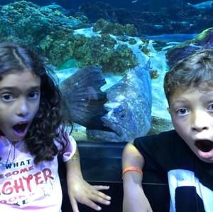 Meet your Posher, Jacque